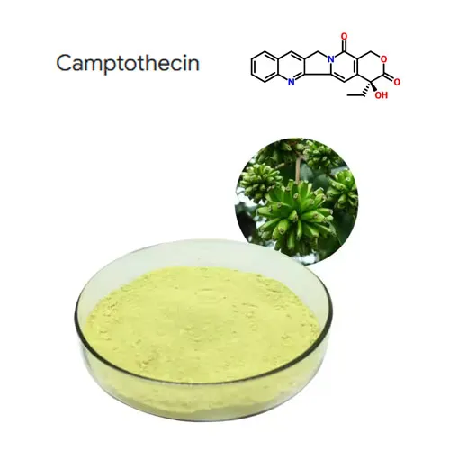 উচ্চ বিশুদ্ধতা 98% ক্যাম্পটোথেসিন উদ্ভিদ এক্সট্রাক্ট পাউডার ক্যাস 7689-03-4